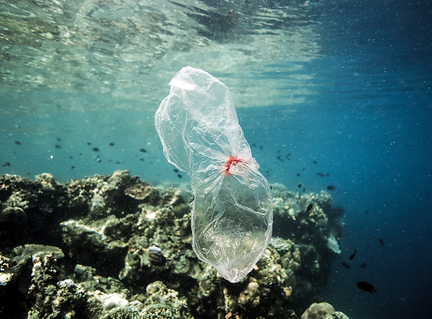 使い捨てプラスチック製品の不使用